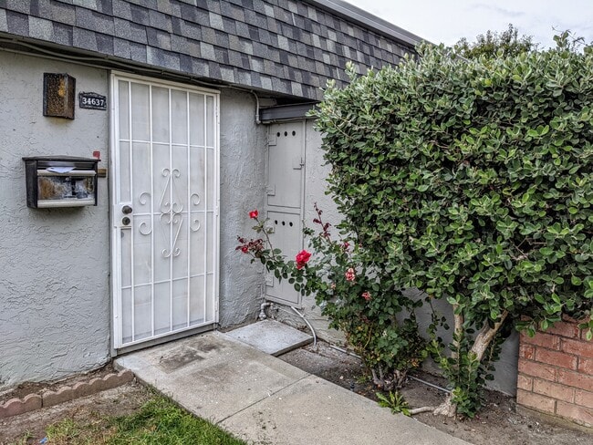 Main Entrance - 34637 Bahama Cmn