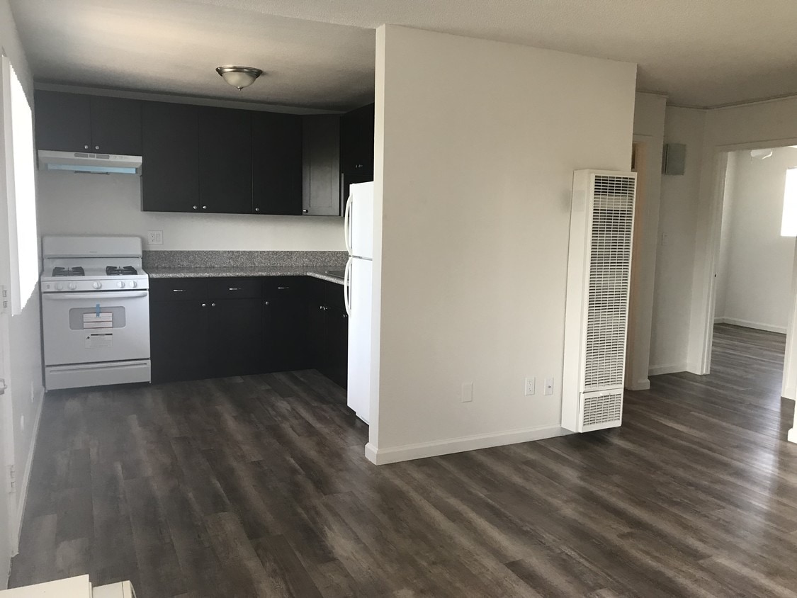 Kitchen/Livingroom - 545 N Mollison Ave