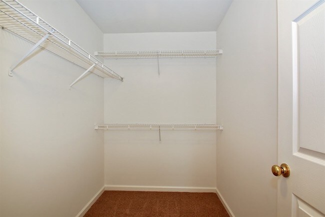 Building Photo - 9023 Tintinhull Ln