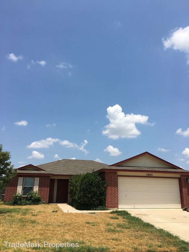 Building Photo - 3 br, 2 bath House - 3803 Frigate