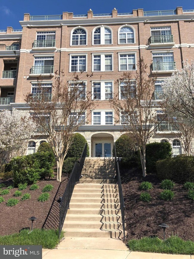 820 Belmont Bay Dr Woodbridge, VA 22191 Rentals Woodbridge, VA