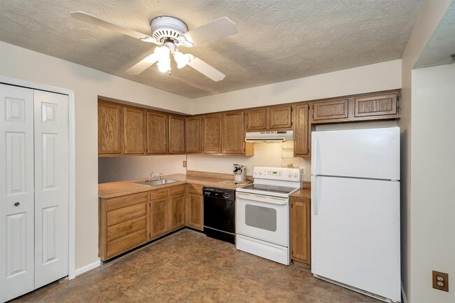 Building Photo - 508 Cabin Ct