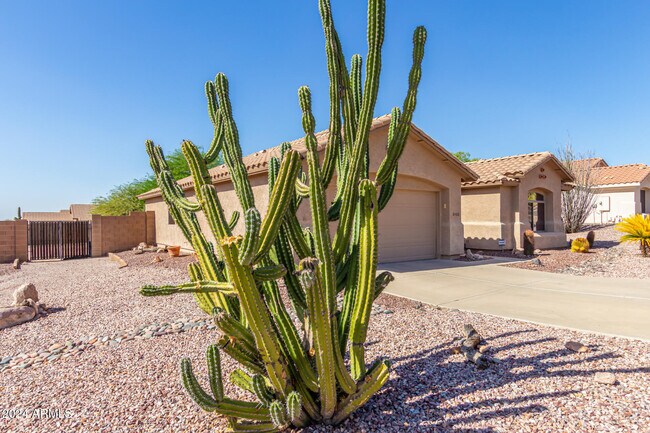 Building Photo - 6460 S Mesa Vista Cir