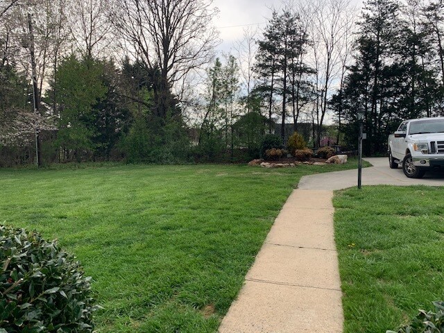 Back Yard and Parking - 1507 Traylor Ln