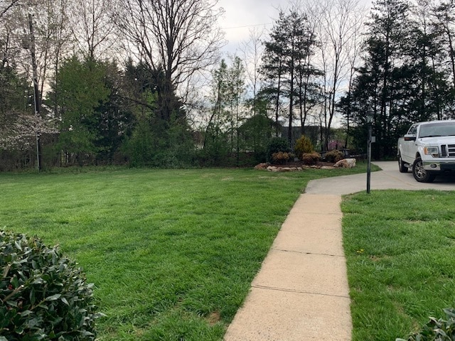 Back Yard and Parking - 1507 Traylor Ln