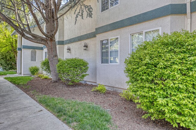 Foto del interior - The Pines Apartments