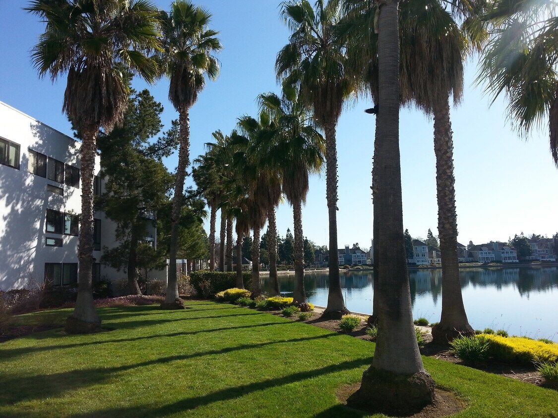 Apartment next to a lagoon - 922 Beach Park Blvd