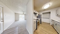 Located at 9760 Sycene Rd in Dallas, Texas, this single-floor, 2-bedroom, 2-bathroom home offers a well-organized layout with a comfortable and functional design throughout. The living room is a generously carpeted space featuring a ceiling fan and a sliding glass door that opens to a private patio, bringing in natural light and outdoor access. Adjacent to the living area, the dining room flows naturally into the galley-style kitchen, which is equipped with gray cabinetry, white countertops, a stainless steel refrigerator, an electric range, a dishwasher, and wood-look vinyl flooring. A built-in pantry closet provides additional storage within the kitchen. Both bedrooms are carpeted and offer a calm, neutral palette with textured ceilings. The primary bedroom includes a spacious walk-in closet with built-in shelving and hanging rods. The two bathrooms each feature a tiled tub-shower combination, wood-look vinyl flooring, and gray vanity cabinetry. A dedicated laundry area adds everyday convenience, while three closets throughout the home ensure ample storage. A hallway connects the private areas of the home, completing this practical and well-appointed single-story residence.