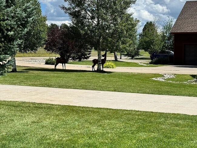 Foto del edificio - Wedgewood Villas ***ALL UTILITIES INCLUDED***