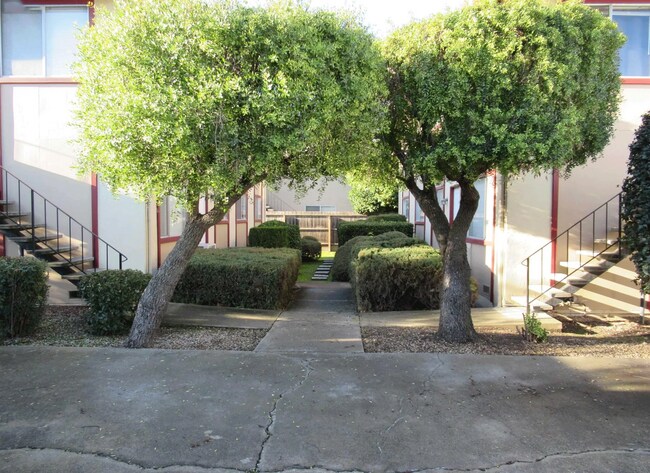 Building Photo - 2149 Mount Diablo St
