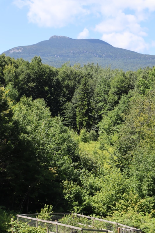 500 Scrabble Hill Rd, Duxbury, VT 05676 House Rental in Duxbury, VT