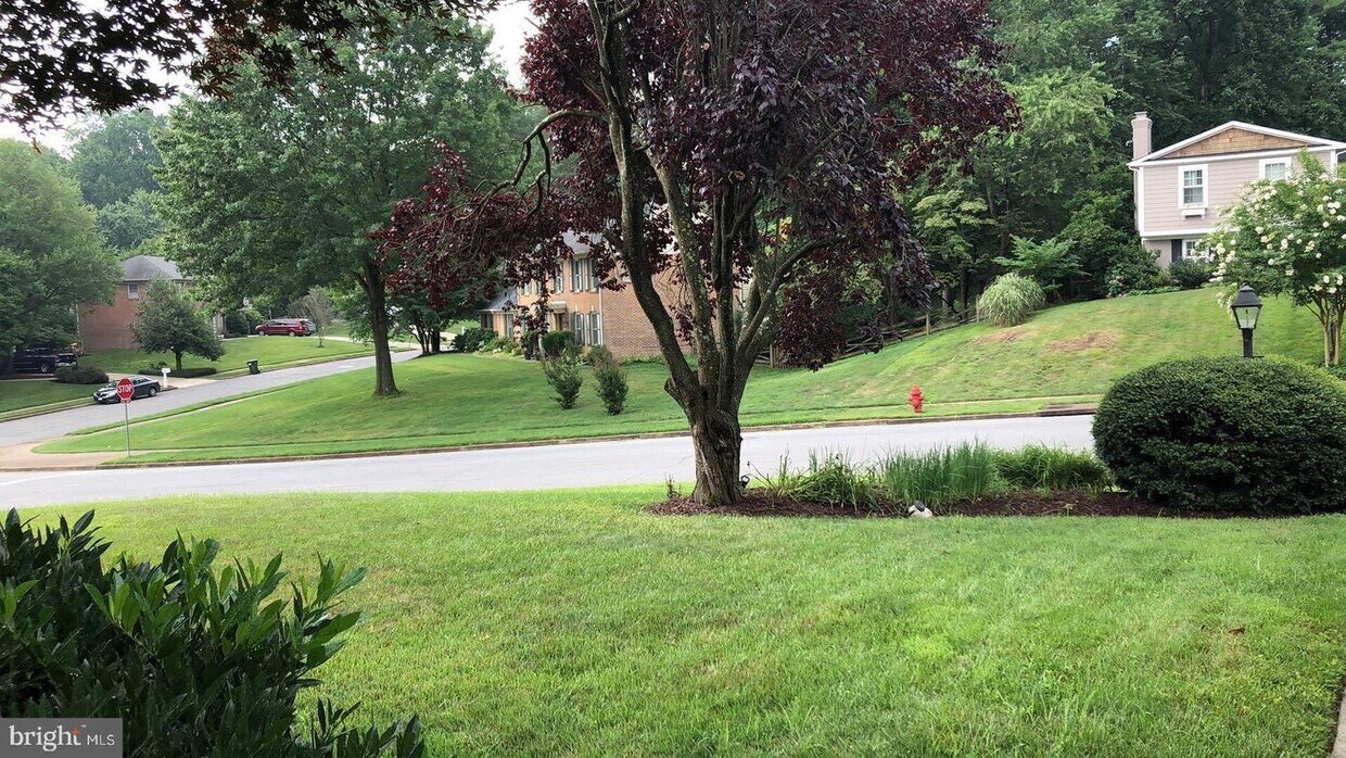 10024 Garrett St, Vienna, VA 22181 House for Rent in Vienna, VA