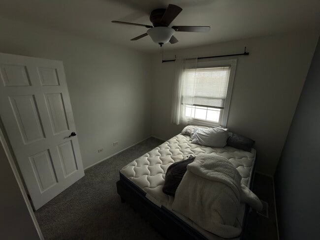 Building Photo - 560 Glen Pl