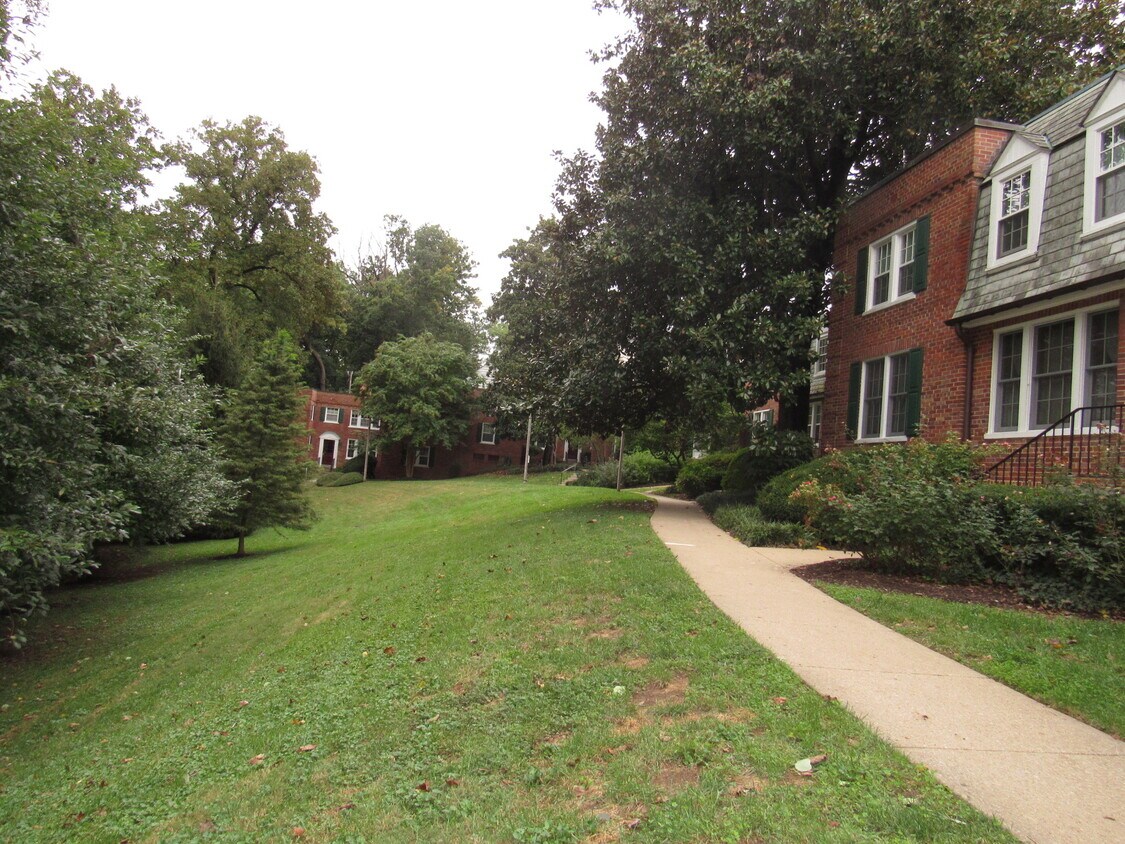 1801 N Rhodes St Unit 243, Arlington, VA 22201 Condo for Rent in Arlington, VA