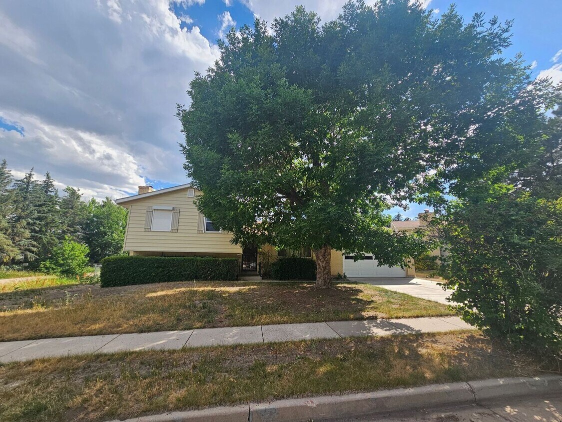 Primary Photo - 3 Bed 2 Bath house in Rustic Hills 80915!