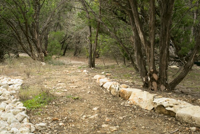 homes for rent in san antonio tx