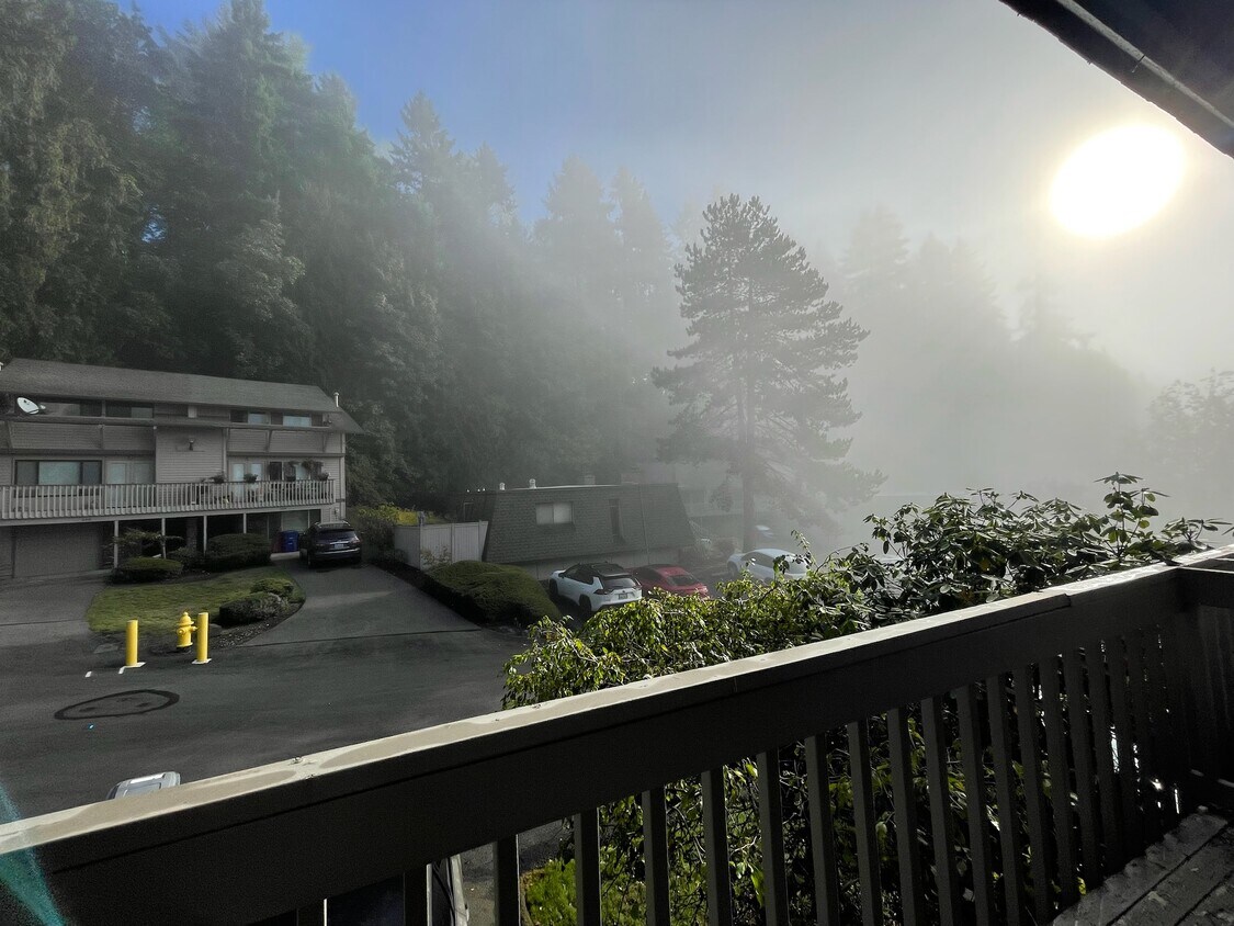 265 169th Ave NE, Bellevue, WA 98008 Townhome Rentals in Bellevue WA