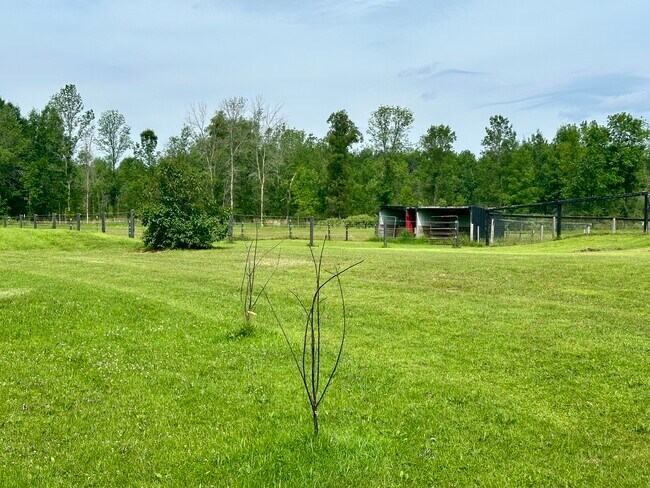 Foto del edificio - 7166 Sundew Rd