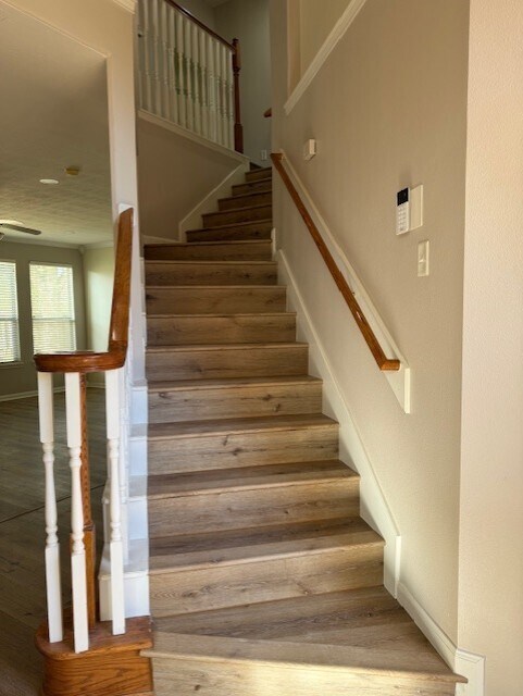 Foto del edificio - 5603 Lowellberg Ln