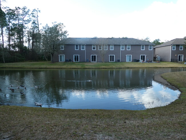 Vista desde el bosque hacia el lago. - 212 Scrub Jay Dr