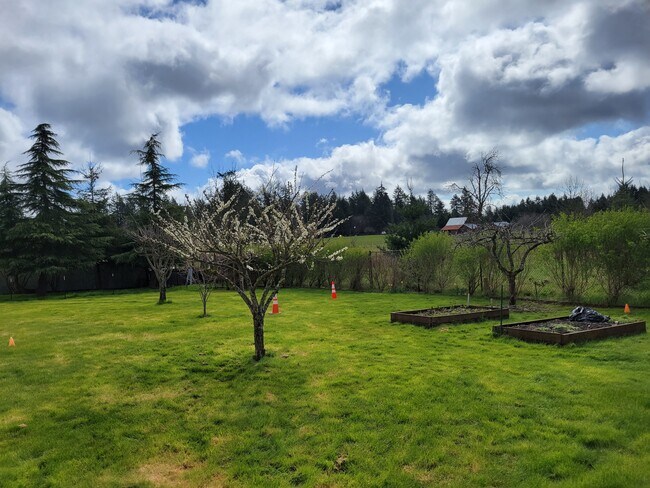 Foto del edificio - 879 King Rd