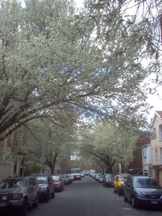 Building Photo - 41 Marble Hill Ave
