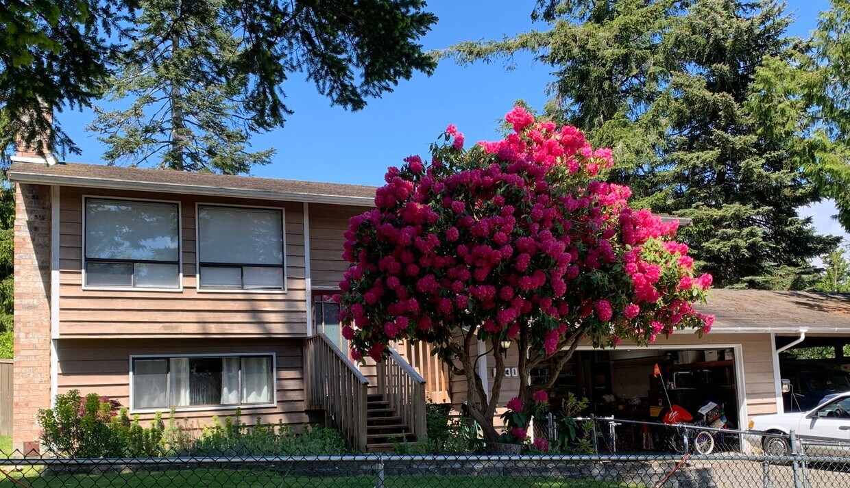 Primary Photo - Preleasing Now! Split-level 4 Bedroom + 3 ...