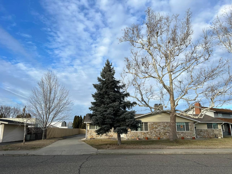 Primary Photo - 2112 W Clearwater Ave
