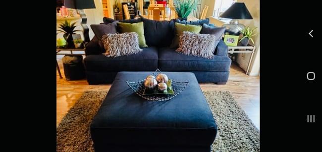 Building Photo - 9805 Mia Ln