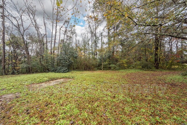 Foto del edificio - 209 Testament Ln