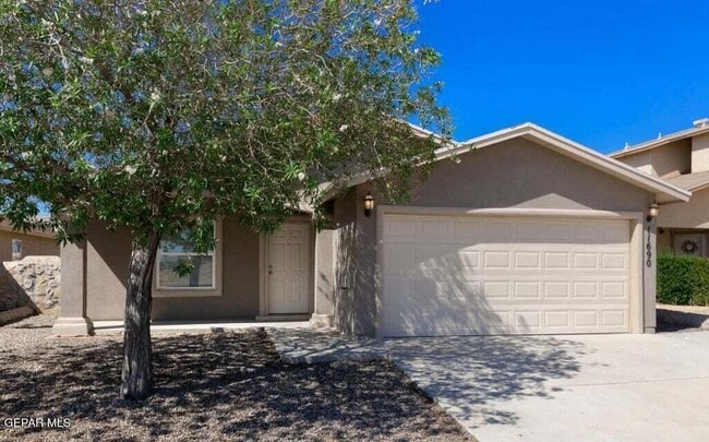 Building Photo - 11690 Mocha Dune Dr