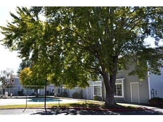 Building Photo - 125-127 Villa Ct