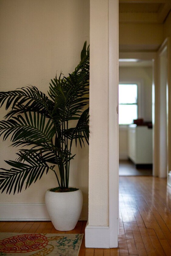 Foto principal - 729 Jenifer St