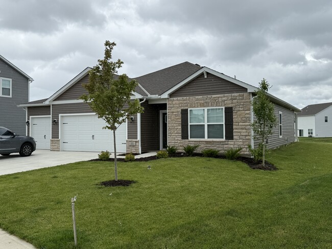 Building Photo - 37 Sunbeam Ct