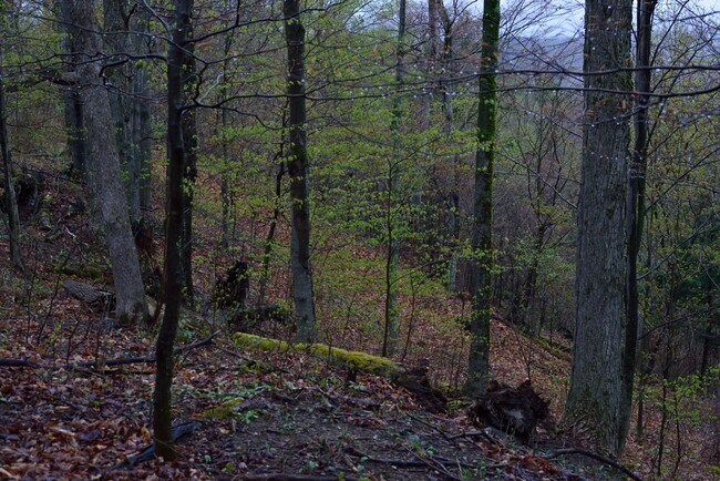 Foto del edificio - 324 Woods Rd