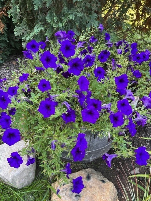 Foto del edificio - 6396 County Hwy A