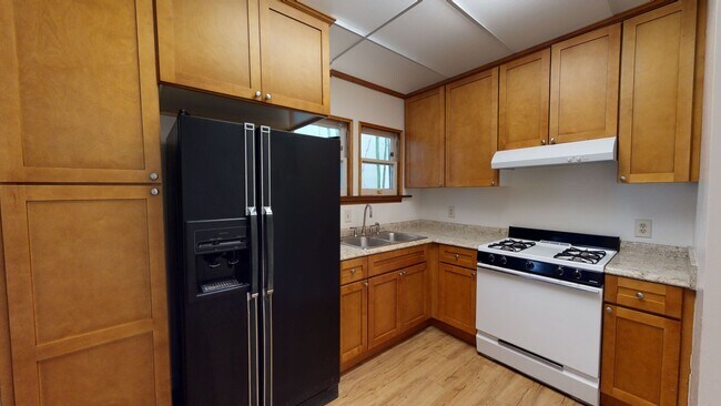 Foto del edificio - Downstairs Spacious Studio at the Charming...