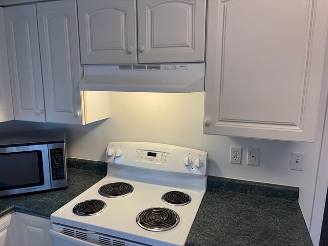 Kitchen stove area. - 319 Garfield Ave