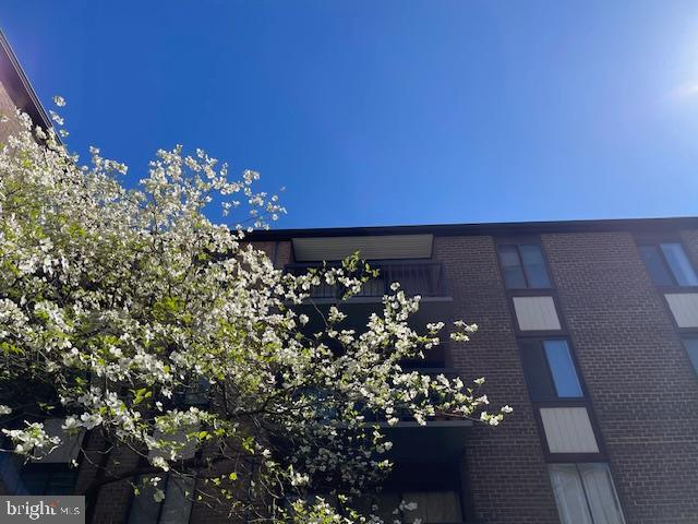 Foto del edificio - 9718 Kingsbridge Dr