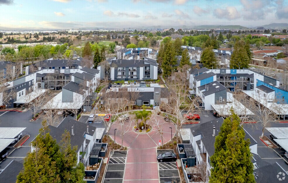Avana Stoneridge
