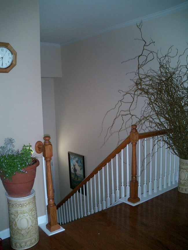 Building Photo - 5024 Celtic Ct