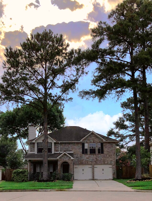 Primary Photo - 12602 Thornwell Ct