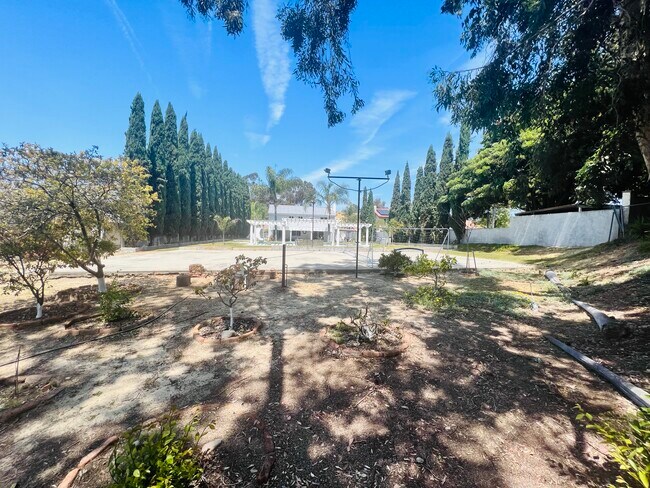 Basketball Court - 5342 Robinwood Rd