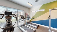 This fitness center is a thoughtfully designed workout space that maximizes its compact footprint with a comprehensive selection of exercise equipment. The room is anchored by a striking geometric accent wall, featuring bold diagonal bands of green, tan, and deep blue, which lend the space a vibrant, energetic aesthetic that complements its purpose.

The cardio section is well-appointed, housing multiple True-brand treadmills, an elliptical trainer, a recumbent bike, and an upright stationary bike, all positioned to take advantage of the large windows that line one wall. These floor-to-ceiling windows, fitted with horizontal blinds, allow ample natural light to fill the room while offering views of an outdoor pool and landscaping.

The strength training area includes a Hoist multi-functional cable machine and a full dumbbell rack stocked with a range of free weights, accompanied by a flat workout bench. A wall-mounted flat-screen TV provides entertainment during workouts, and a large mirror on one wall visually expands the space. Overhead, flush-panel lighting and a ceiling fan ensure consistent illumination and airflow throughout. Durable rubber-backed flooring covers the entire room, providing traction and comfort. A dedicated entry door with natural light access adds convenience and connectivity to the outdoors.