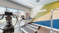 This fitness center is a thoughtfully designed workout space that maximizes its compact footprint with a comprehensive selection of exercise equipment. The room is anchored by a striking geometric accent wall, featuring bold diagonal bands of green, tan, and deep blue, which lend the space a vibrant, energetic aesthetic that complements its purpose.

The cardio section is well-appointed, housing multiple True-brand treadmills, an elliptical trainer, a recumbent bike, and an upright stationary bike, all positioned to take advantage of the large windows that line one wall. These floor-to-ceiling windows, fitted with horizontal blinds, allow ample natural light to fill the room while offering views of an outdoor pool and landscaping.

The strength training area includes a Hoist multi-functional cable machine and a full dumbbell rack stocked with a range of free weights, accompanied by a flat workout bench. A wall-mounted flat-screen TV provides entertainment during workouts, and a large mirror on one wall visually expands the space. Overhead, flush-panel lighting and a ceiling fan ensure consistent illumination and airflow throughout. Durable rubber-backed flooring covers the entire room, providing traction and comfort. A dedicated entry door with natural light access adds convenience and connectivity to the outdoors.