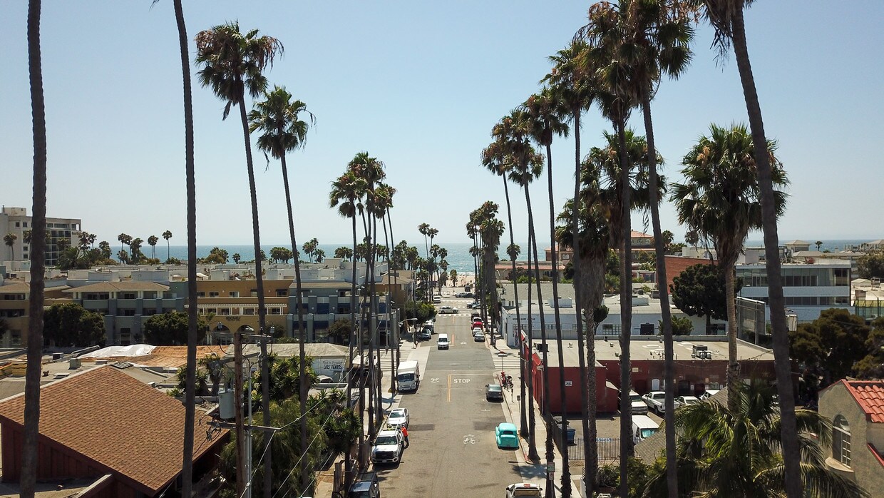 219 Bay St Santa Monica CA 90405 Condo for Rent in Santa Monica CA