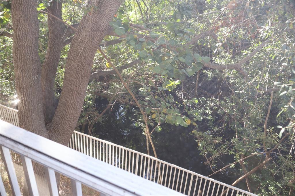 Foto principal - 5000 Culbreath Key Way