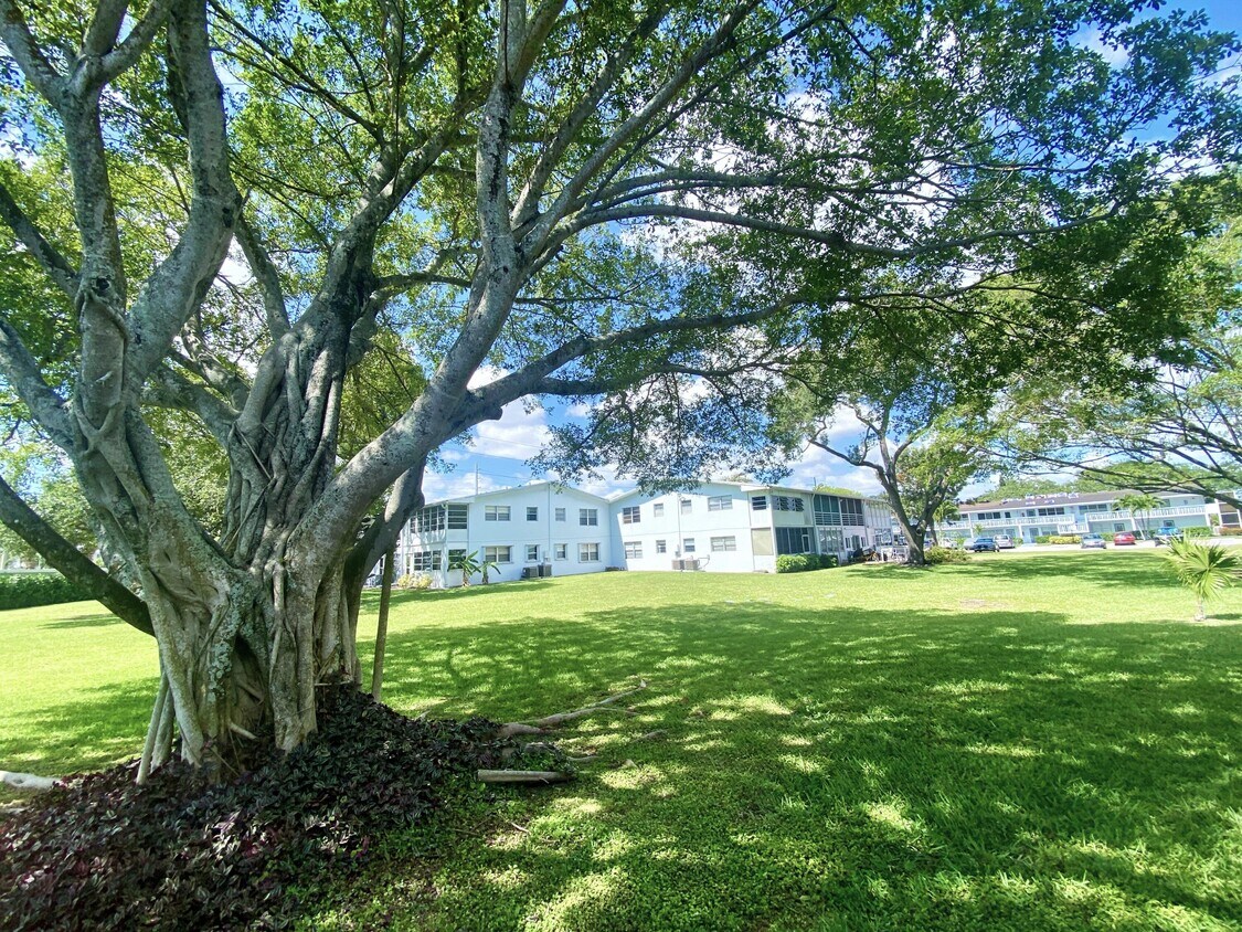 Foto principal - 335 Farnham P