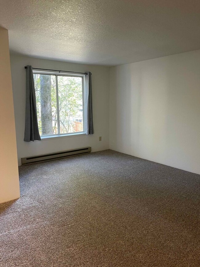 Building Photo - First Full Month's Rent Free! Bright and Airy One Bedroom Condo - Water, Sewer & Trash Covered!