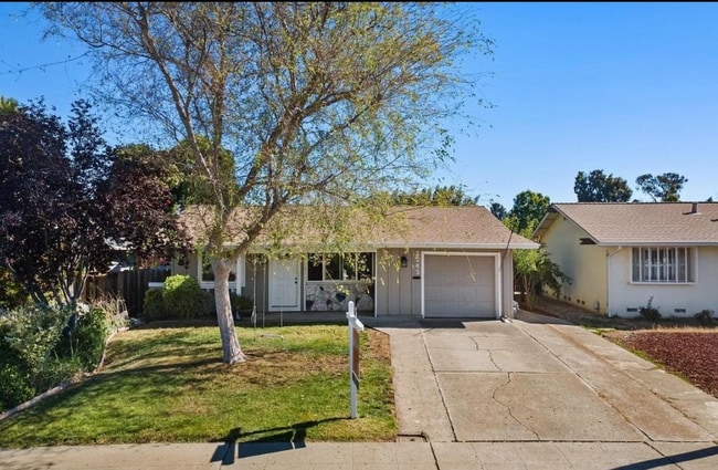 Foto del edificio - 1241 Hibiscus Way